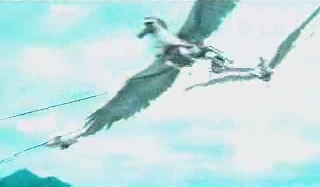 gmtv010.jpg gmtv010.jpg
