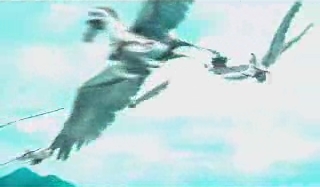 gmtv011.jpg gmtv011.jpg