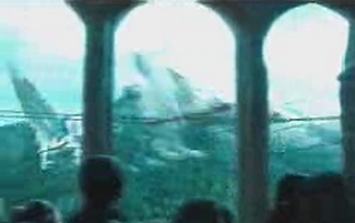 gmtv016.jpg gmtv016.jpg