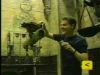 trl-gofvideo4_.jpg