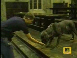 trl-gofvideo40.jpg trl-gofvideo40.jpg