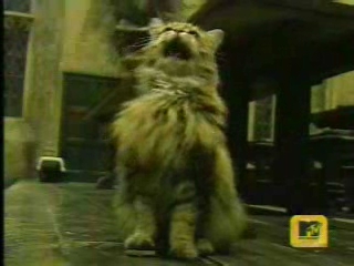 trl-gofvideo_6.jpg trl-gofvideo_6.jpg