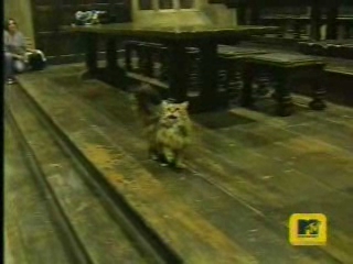 trl-gofvideo_8.jpg trl-gofvideo_8.jpg