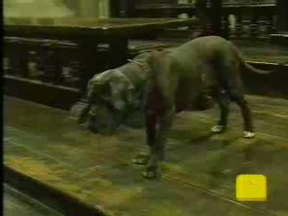 trl-gofvideo__~0.jpg trl-gofvideo__~0.jpg