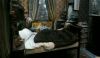 DVDHP5decorsdansharrypotterexclusif130.jpg