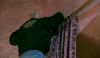DVDHP5decorsdansharrypotterexclusif169.jpg