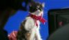 DVDHP5decorsdansharrypotterexclusif210.jpg