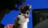 DVDHP5decorsdansharrypotterexclusif212.jpg