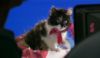 DVDHP5decorsdansharrypotterexclusif221.jpg
