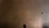 DVDHP5decorsdansharrypotterexclusif338.jpg