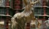 DVDHP5decorsdansharrypotterexclusif517.jpg