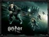 OFF_WP_FINAL-14-800.jpg