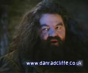 potterish_60minutos_TV_00_88.jpg potterish_60minutos_TV_00_88.jpg