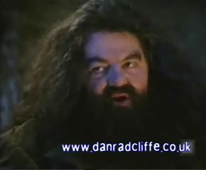 potterish_60minutos_TV_00__5~0.jpg potterish_60minutos_TV_00__5~0.jpg