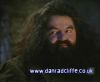 potterish_60minutos_TV_00_80.jpg