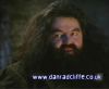 potterish_60minutos_TV_00_85.jpg