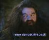 potterish_60minutos_TV_00_88.jpg