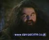 potterish_60minutos_TV_00__1~0.jpg
