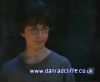 potterish_60minutos_TV_01025.jpg