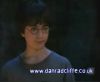 potterish_60minutos_TV_01027.jpg