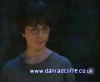 potterish_60minutos_TV_010_0.jpg