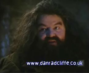 potterish_60minutos_TV_01128.jpg potterish_60minutos_TV_01128.jpg