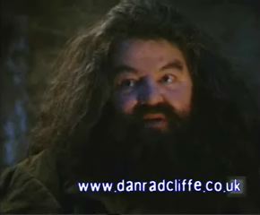 potterish_60minutos_TV_0112_.jpg potterish_60minutos_TV_0112_.jpg