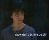 potterish_60minutos_TV_0104_~0.jpg