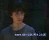 potterish_60minutos_TV_0105_~0.jpg