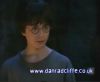 potterish_60minutos_TV_01060.jpg
