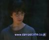 potterish_60minutos_TV_01062.jpg
