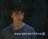 potterish_60minutos_TV_01064.jpg