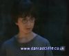 potterish_60minutos_TV_01065.jpg