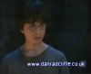 potterish_60minutos_TV_01067.jpg