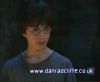 potterish_60minutos_TV_0107_~0.jpg