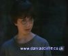 potterish_60minutos_TV_01086.jpg
