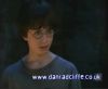 potterish_60minutos_TV_0108_.jpg