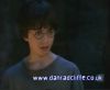 potterish_60minutos_TV_010_1.jpg