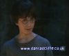potterish_60minutos_TV_010_6~0.jpg