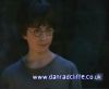potterish_60minutos_TV_010_7.jpg