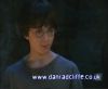 potterish_60minutos_TV_01100.jpg
