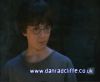 potterish_60minutos_TV_01102.jpg