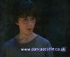 potterish_60minutos_TV_01104.jpg