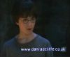 potterish_60minutos_TV_01105.jpg