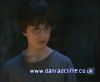 potterish_60minutos_TV_01107.jpg
