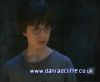 potterish_60minutos_TV_01108.jpg