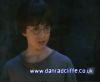 potterish_60minutos_TV_01110.jpg