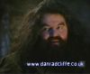 potterish_60minutos_TV_01115.jpg