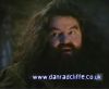 potterish_60minutos_TV_01117.jpg