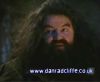 potterish_60minutos_TV_0112_.jpg